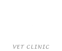 West Burleigh Vet Clinic